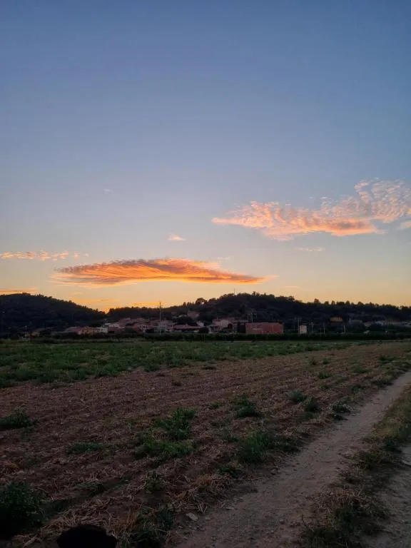 Camps de l’Alt Empordà al capvespre amb el poble de Masarac retallat a l’horitzó