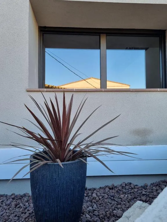 Detall d’una finestra de la façana amb una planta en un test de ceràmica fosca