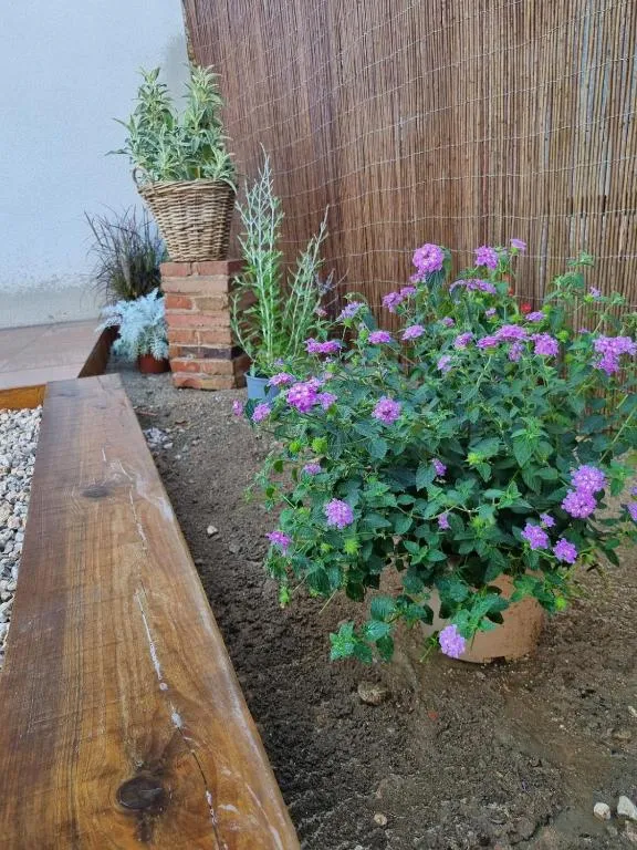 Parterre amb flors morades i un banc de fusta a tocar de la grava del pati