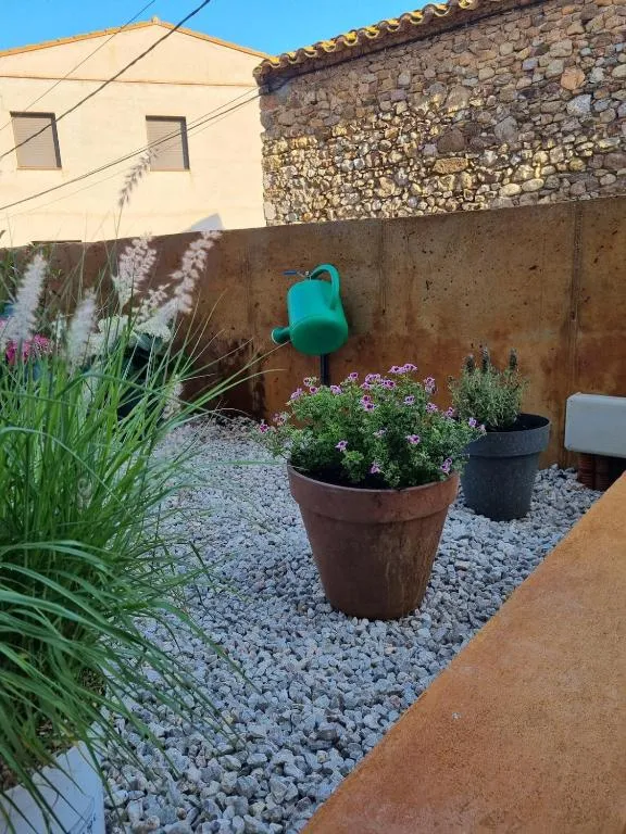 Testos de terracota amb flors sobre la grava, davant del mur de pedra i la regadora penjada
